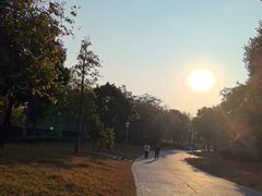 -宝安西湾红树林湿地公园