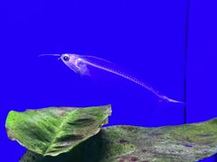 -上海海洋水族馆