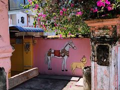 -槟城街头艺术街区