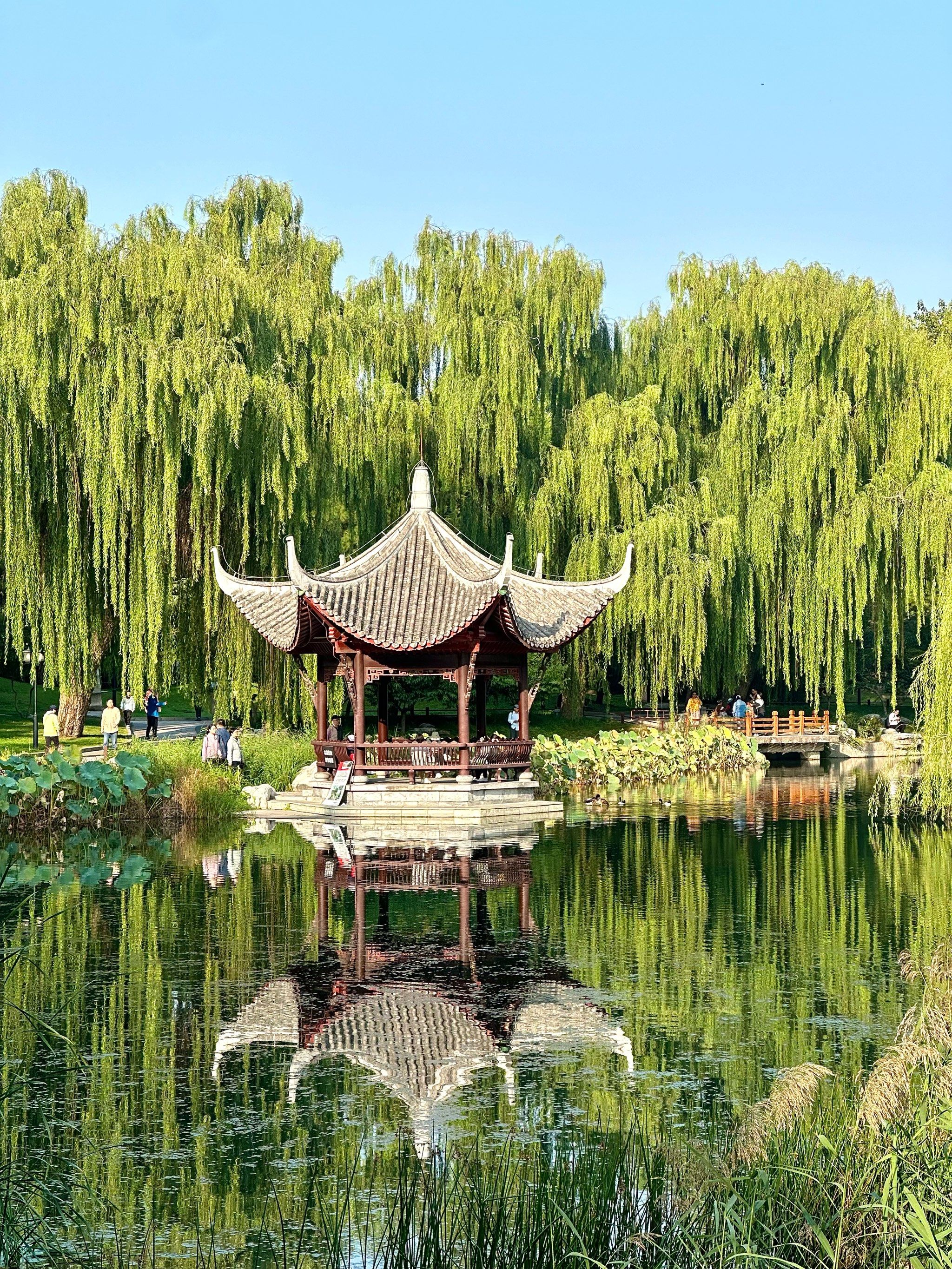 北京国庆|来陶然亭公园感受初秋的美好