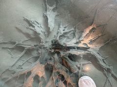-金沙遗址博物馆