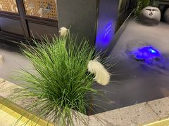 -渝乡辣婆婆·川菜 水煮鱼(安平店)