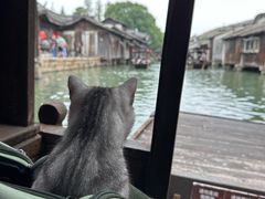 -乌镇东栅景区