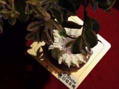 -黑池口感烘焙·生日蛋糕(坂田店)