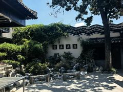 -富春茶社(国庆路店)
