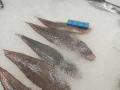 -麦德龙(郑东店)