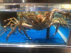 -盒马X会员店(王府井奥莱UP TOWN店)
