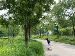 -东郊湿地公园