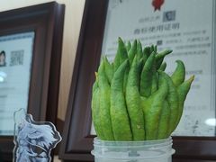 -自然之声助听器·呼吸机(康桥旗舰店)