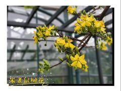 -华南国家植物园-售票处