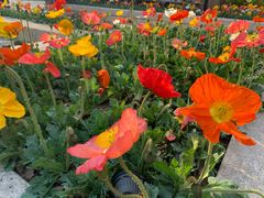 -果蔬好生活超市(乐堤港店)