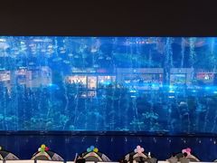 -成都浩海立方海洋公园