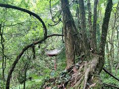 -西岭雪山大飞水景区