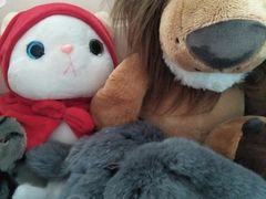 -PAWTOY爪e玩偶店(天兴罗斯福店)