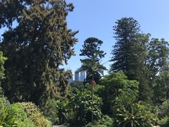 -墨尔本皇家植物园