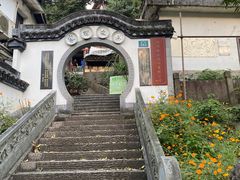 -龙井村