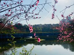 -重庆彩云湖湿地公园