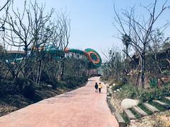 -杭州开元森泊度假乐园