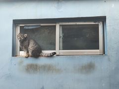 -青藏高原野生动物园