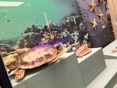 -上海中国航海博物馆