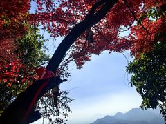 -大慈岩风景区