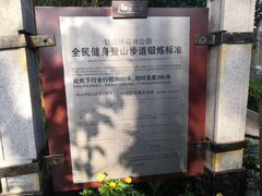 -铁山坪森林公园