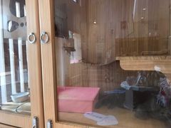 -Pets First伊珊娜洗护·精致美容·家庭式寄养(新会路店)