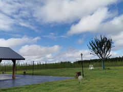 -黄海国家森林公园