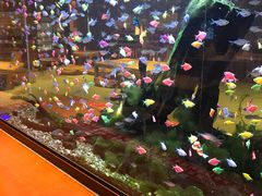 -大江户·温泉洗浴(浑南店)