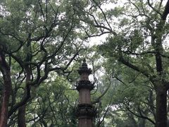 -普陀山风景名胜区-法雨禅寺