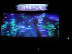 -SFC上影影城(北京大兴龙湖天街IMAX店)