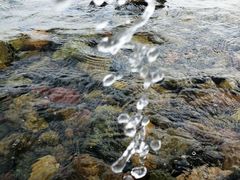 -抚仙湖禄充风景区