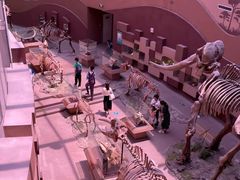 -陕西自然博物馆