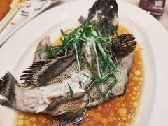 -稻香酒家·33年老字号·港式粤菜(富邦中心店)