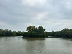 -大湾区中央湿地公园
