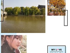 -南汇桃花村