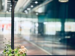 -映水芙蓉(上海万象城店)