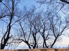 -中国石化珲春中街加油站