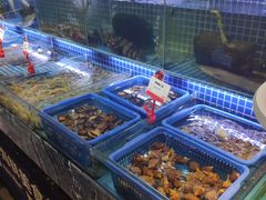 水产区-必点海鲜·鲅鱼水饺(鞍山西道店)