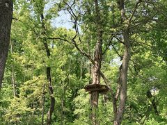 -WeLope紫金山探险公园