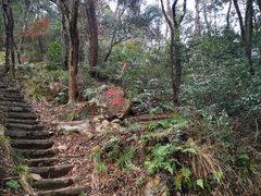-青龙山国家森林公园