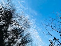 -大蜀山国家森林公园