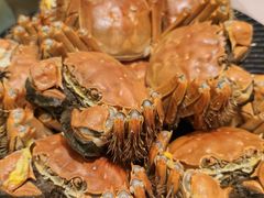 -王宝和酒家(黄浦店)