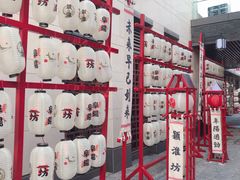 -祥源·阜阳生态乐园