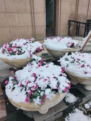 -大连市妇女儿童医疗中心(希望广场儿童院区)