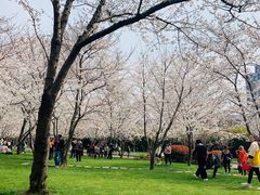 -无锡市市民中心