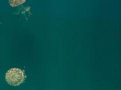 -福州罗源湾海洋世界旅游区