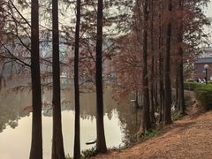 -三水森林公园