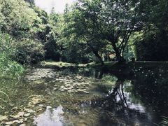 -常德桃花源景区