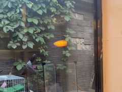 -庭院·冰煮羊·北京涮肉(西单店)